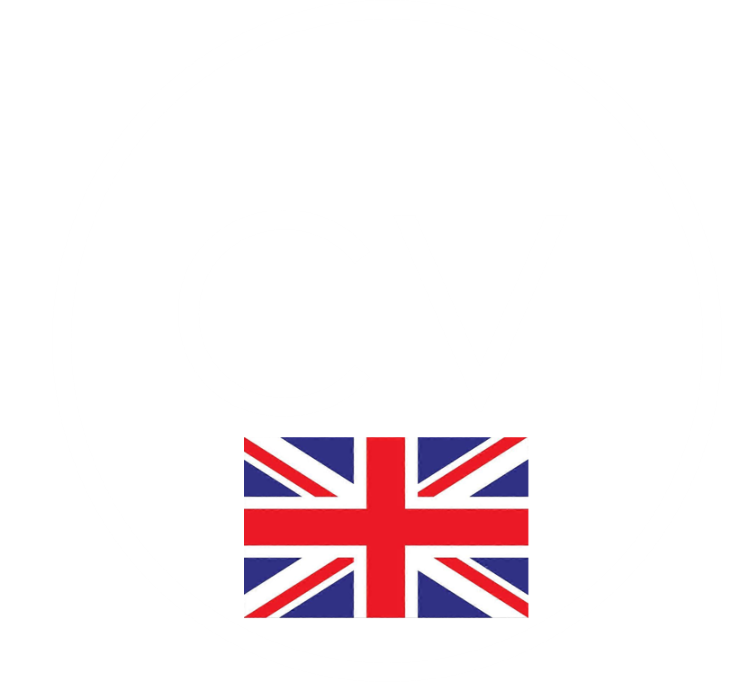 Descargar PDF CV ENG